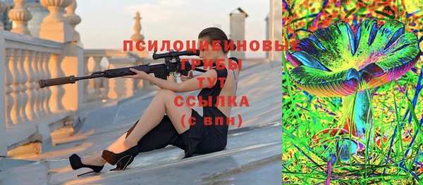 мяу мяу кристалл Няндома
