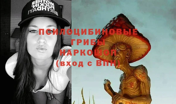 мяу мяу кристалл Няндома